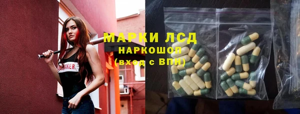 гашик Коряжма