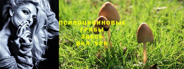 первитин Краснослободск