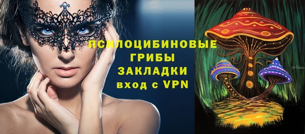 гашик Коряжма