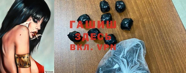гашик Коряжма
