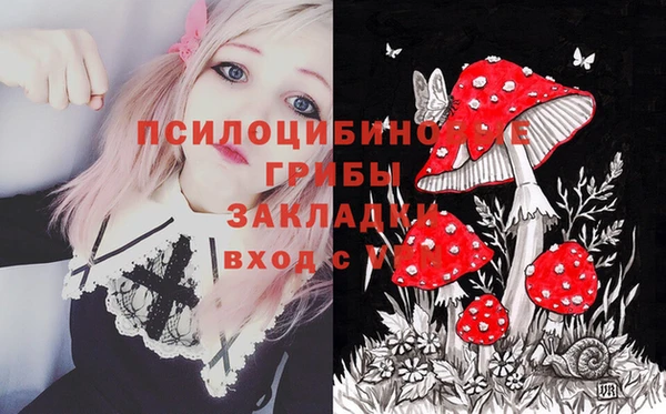 гашик Коряжма